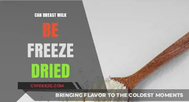 Exploring the Possibilities: Can Breast Milk Be Freeze-Dried?
