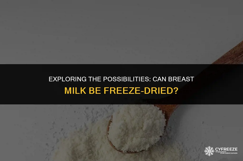 can breast milk be freeze dried