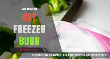 Preventing Freezer Burn: How to Safely Store Broccoli in Your Freezer