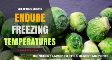 Can Brussel Sprouts Survive Frost? Freezing Temperature Tolerance Explained