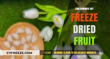 Hopping Towards Health: Freeze-Dried Fruits for Bunnies?