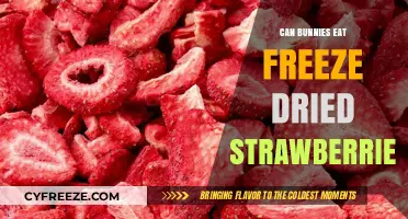 Hoppy Treats: Freeze-Dried Strawberries for Bunnies?