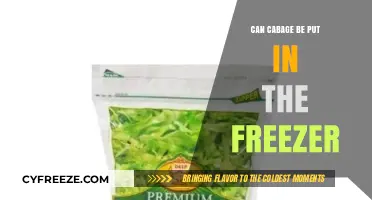 Freezing Cabbage: A Handy Guide for Kitchen Convenience