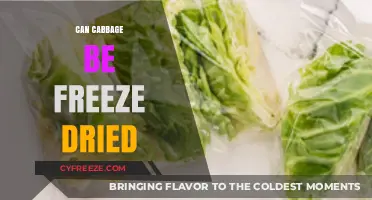 Exploring the Possibilities: Can Cabbage Be Freeze-Dried?