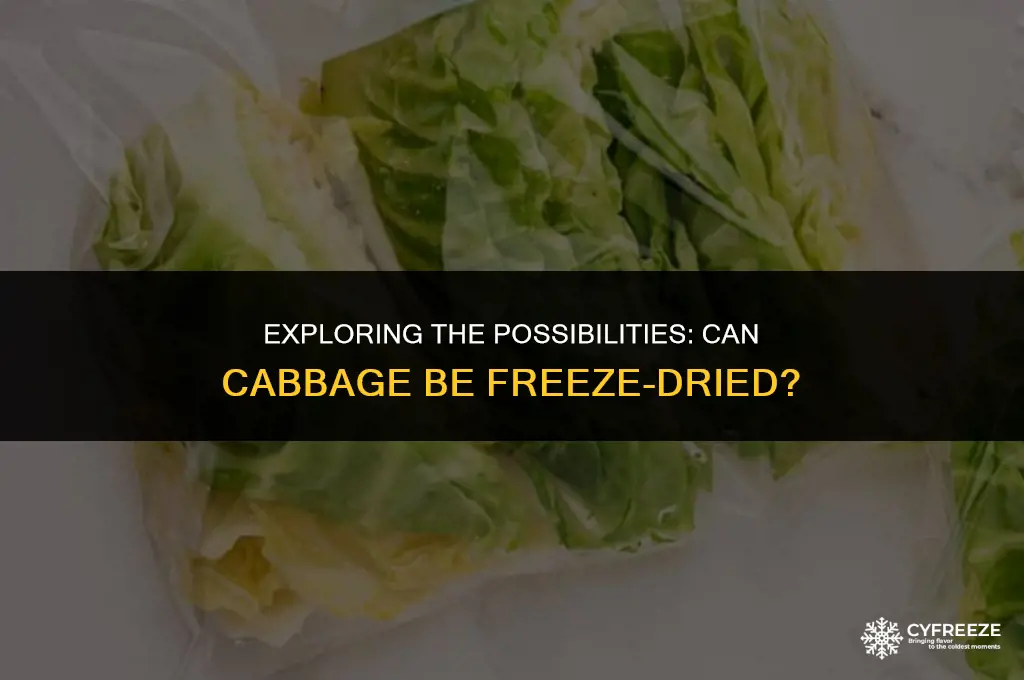 can cabbage be freeze dried