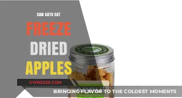 Feline Fruit Feast: Freeze-Dried Apples for Cats?