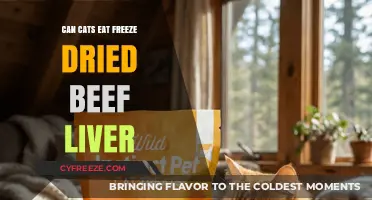 Feline Feast or Freeze? The Truth About Cats and Beef Liver