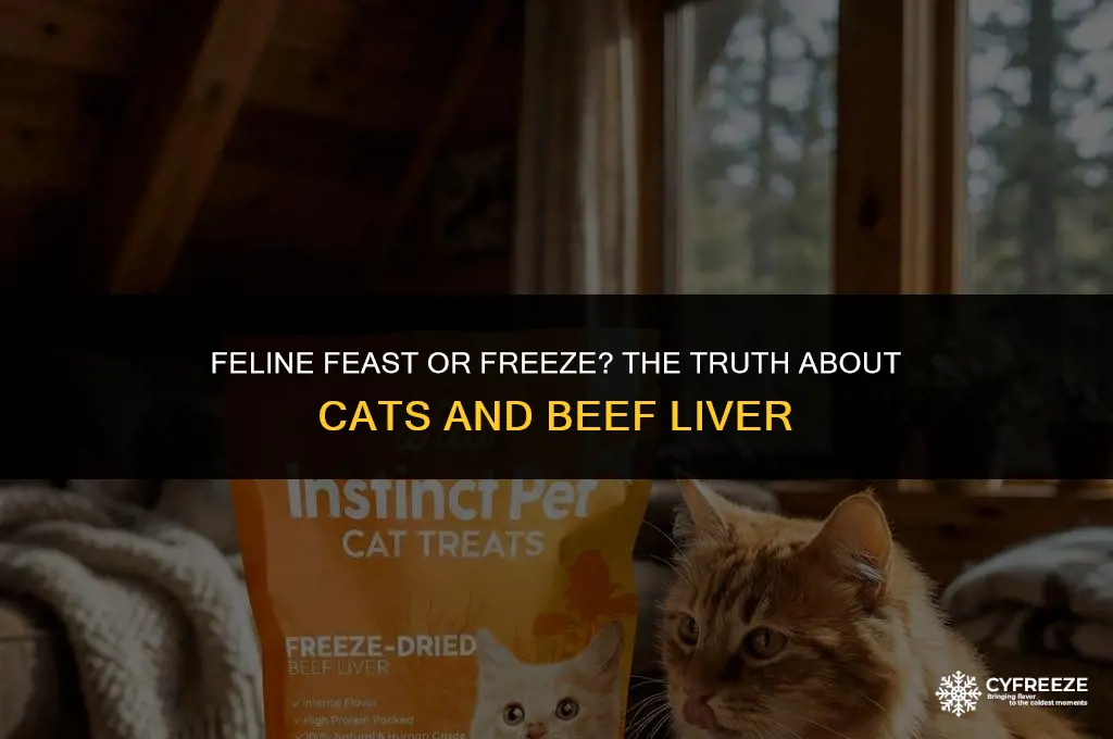 can cats eat freeze dried beef liver