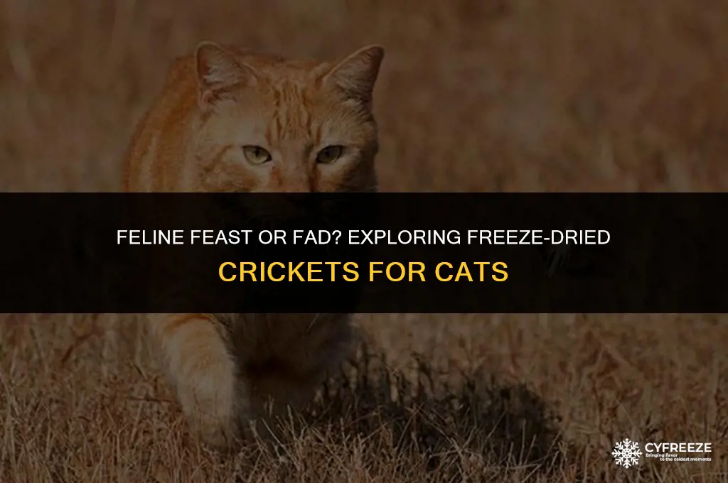 can cats eat freeze dried crickets