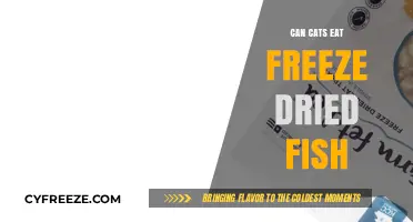 Feline Feast: The Scoop on Freeze-Dried Fish for Cats