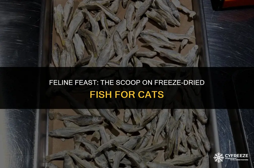 can cats eat freeze dried fish