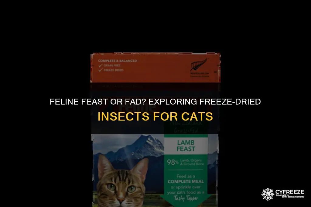 can cats eat freeze dried insects