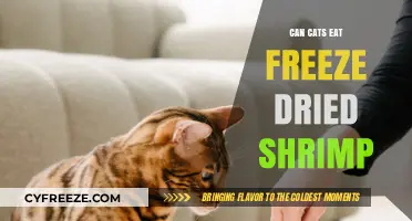 Feline Feast: Exploring the Safety of Freeze-Dried Shrimp for Cats