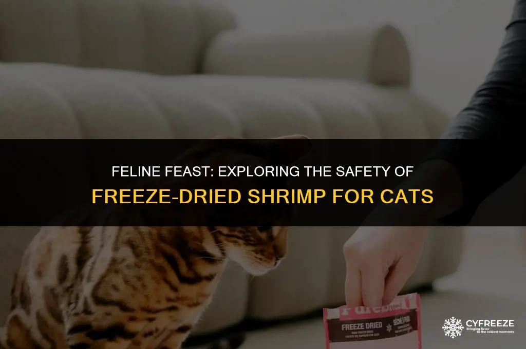 can cats eat freeze dried shrimp