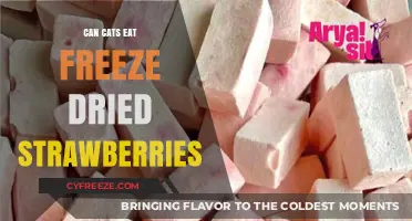 Feline Fruit Feast: Freeze-Dried Strawberries for Cats?