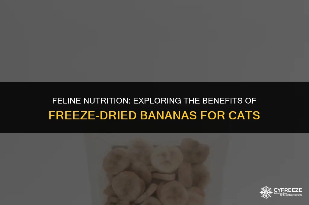 can cats have freeze dried bananas