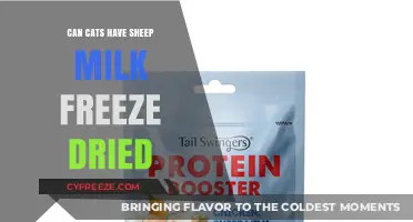 Feline Nutrition: The Scoop on Freeze-Dried Sheep Milk for Cats