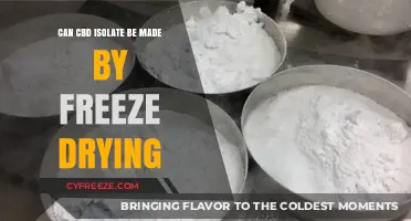Exploring the Innovative Process of CBD Isolate Freeze Drying