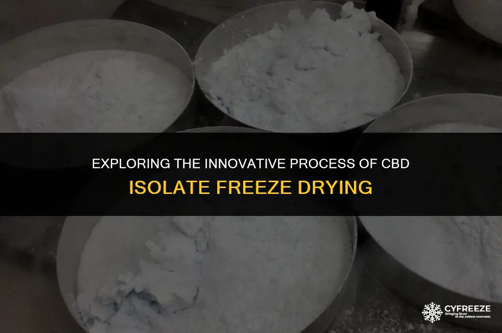 can cbd isolate be made by freeze drying