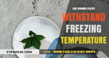 Ceramic Plates in Freezing Temps: Durability and Safety Explained