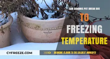 Can Freezing Temperatures Cause Ceramic Pots to Crack or Break?