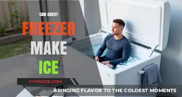 Chill Insights: Can Your Chest Freezer Double as an Ice Maker?