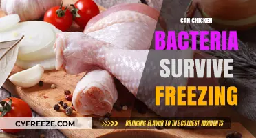 Chilling Truth: Can Chicken Bacteria Survive Freezing?
