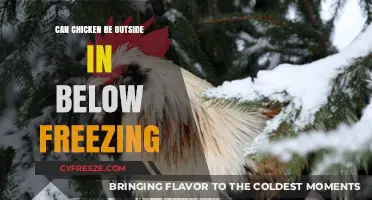 Chilly Chickens: Can They Thrive in Freezing Temps?