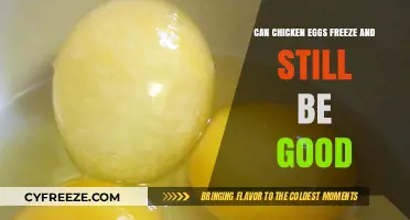 Can Chicken Eggs Freeze and Still Be Good?