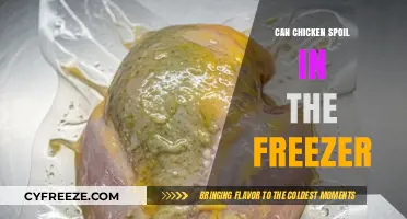 Can Chicken Spoil in the Freezer? Surprising Facts You Need to Know