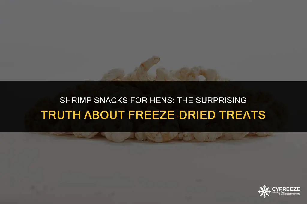 can chickens eat freeze dried shrimp