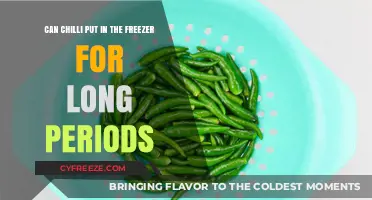 Chill Out: The Ultimate Guide to Freezing Chilies Long-Term