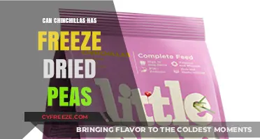 Chinchilla Diet Guide: Are Freeze-Dried Peas a Healthy Treat?