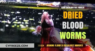 Exploring Cichlids' Diets: The Freeze-Dried Blood Worm Debate