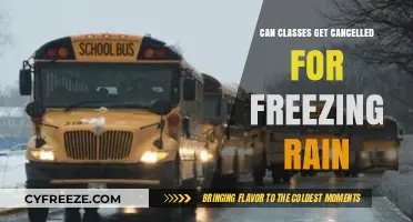 Freezing Rain Alert: Will Your Classes Be Cancelled Today?