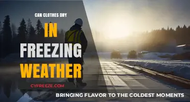 Chilly Drying: Can Your Clothes Really Dry in Freezing Weather?
