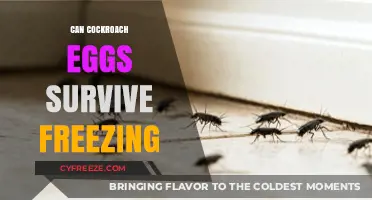 Cockroach Eggs and Freezing: Can They Survive Extreme Cold?
