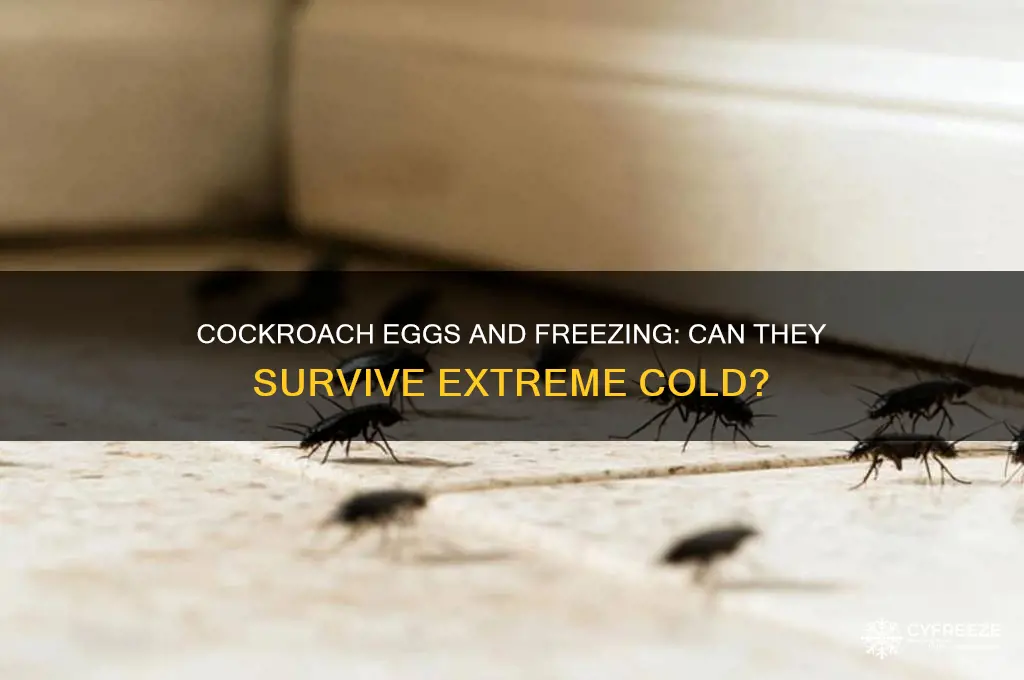 can cockroach eggs survive freezing