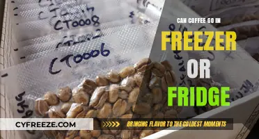 Chilling Your Brew: The Do's and Don'ts of Freezing Coffee