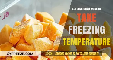 Can Coggeshall Mangoes Survive Freezing Temperatures? A Complete Guide