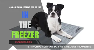 Can Coleman Cooling Pads Be Frozen? A Comprehensive Guide