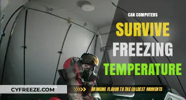 Surviving the Cold: Can Computers Endure Freezing Temperatures?