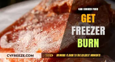 Understanding Freezer Burn: Can Cooked Food Be Affected?