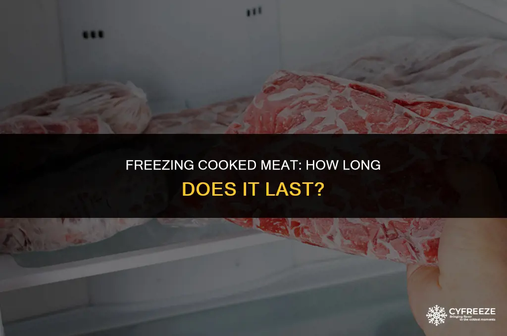 can cooked meat go bad in the freezer