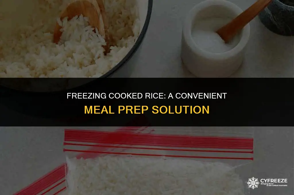 can cooked rice be frozen in the freezer