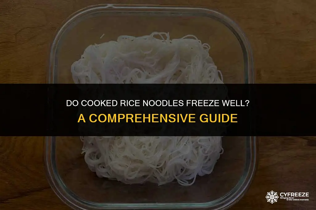 can cooked rice noodles freeze well