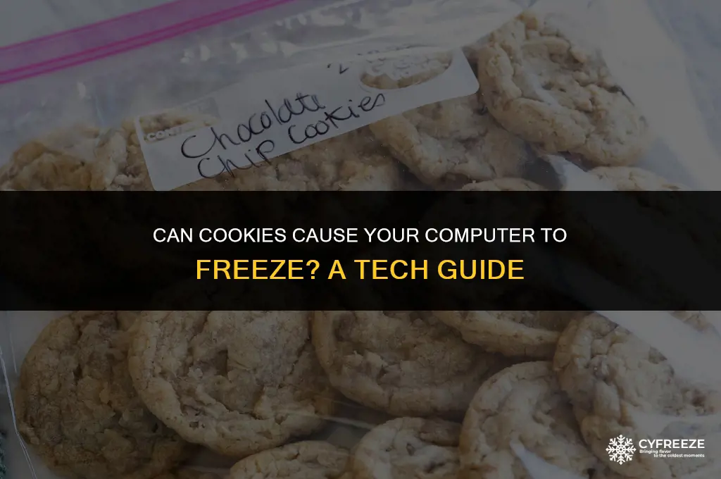 can cookes cause a computer to freeze