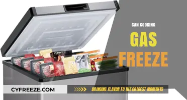 Chilling Facts: Can Your Cooking Gas Freeze and Affect Your Meals?