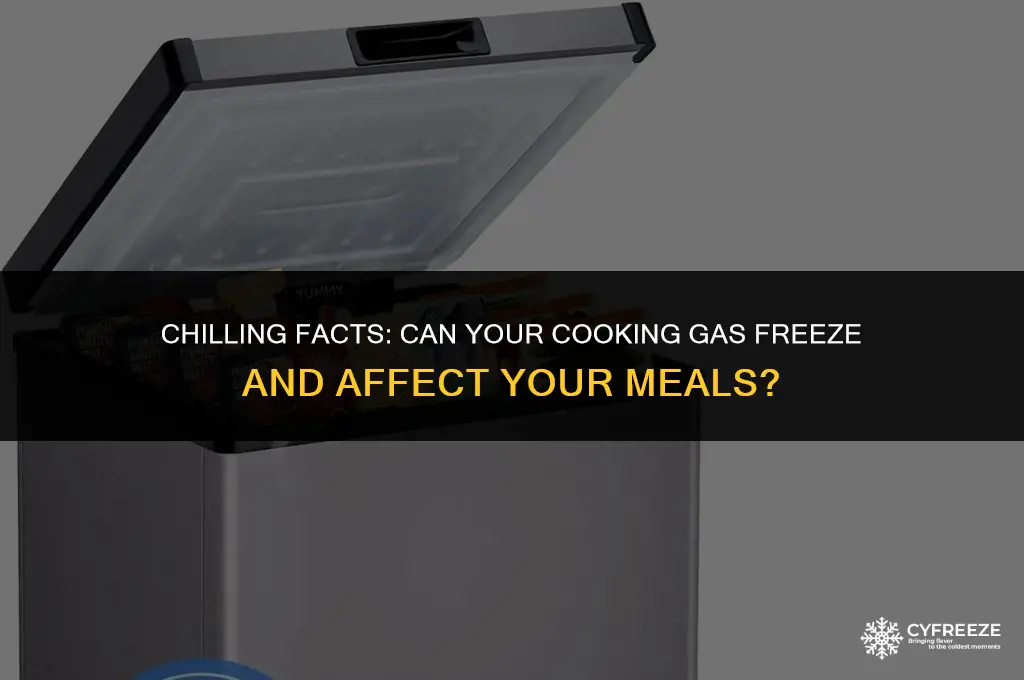 can cooking gas freeze