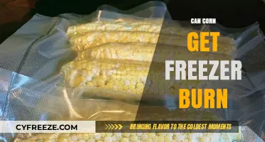 Can Corn Get Freezer Burn? Tips to Preserve Freshness